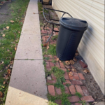 Lawn