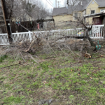 Yard Clean up
