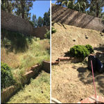 Hill weed removal