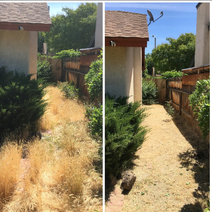 Weed removal