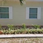 Landscape Design