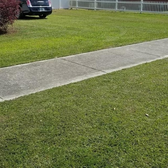 Lawn Maintenance