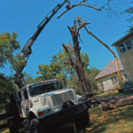 Green Arbor LLC