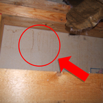 Mold Testing