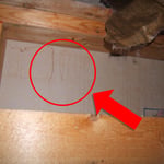 Mold Testing
