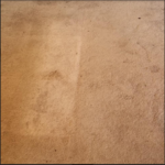 Carpet cleaning