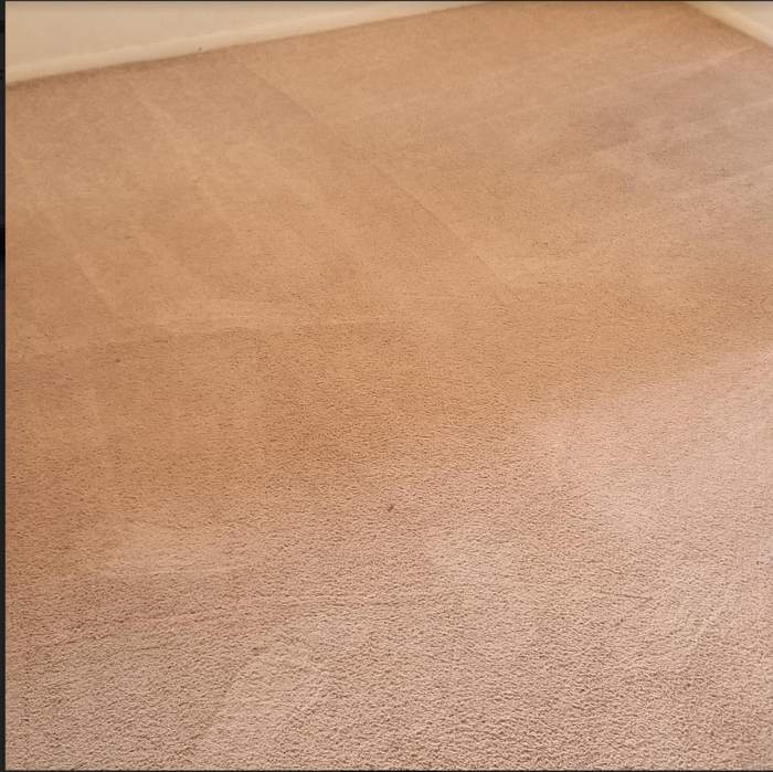 Carpet after