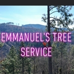 Tree removal
