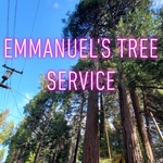 Tree trimming near powerlines
