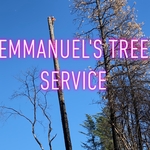 Tree removal