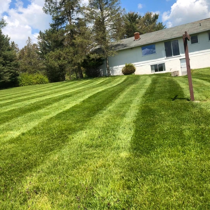 Mowing