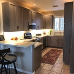 Modern Shaker