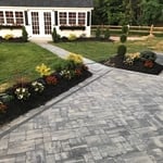 Patio and Shed