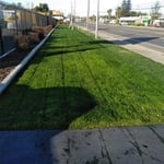 Jimenez Landscapings