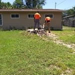 Our Work