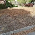 Our Work