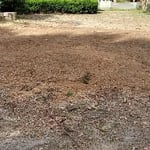 Our Work