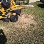 Our Work