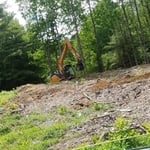 Stump Removal