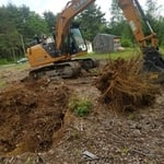 Stump Removal