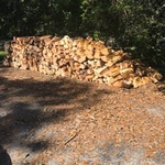 On site wood splitting