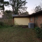 AFTER TREE REMOVAL