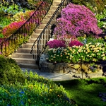 Dream Landscapes