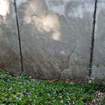 Pool deck pressure washing