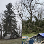 Protect your property