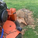 Stump grinding