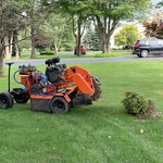 Stump grinding