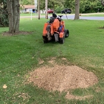 Stump grinding