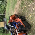 Stump grinding