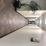 Hallway cleaning and disinfecting services