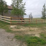 Cedar fence with page wire