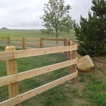 Cedar fence with page wire