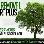 Our work