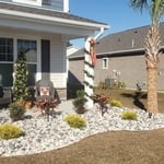 New Landscape