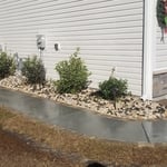 New Landscape