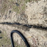 Solid Corrugated Drainage Piping