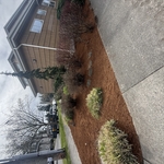 Mulch installation