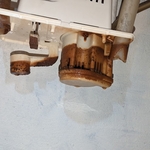 Maintenance FOR ALL!!!