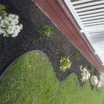 Simple Landscaping