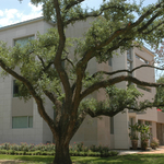 Exterior Limestone