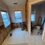 Master Bathroom Reno