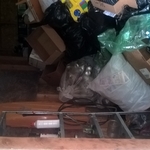 post tenant clean up