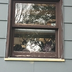 Window repair
