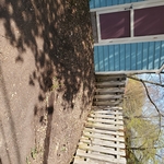 Spring clean up