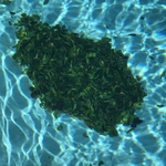 Y & Y Pool Service