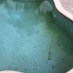 Y & Y Pool Service